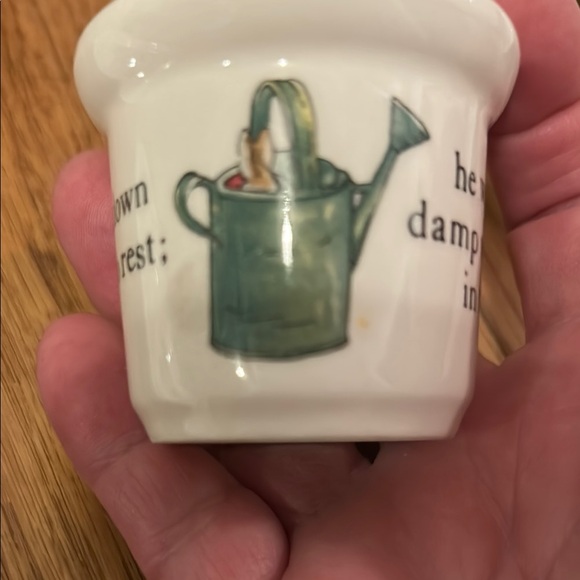 Wedgwood Peter Rabbit Kids Dinnerware Set - White and Multicolor - Picture 7 of 11